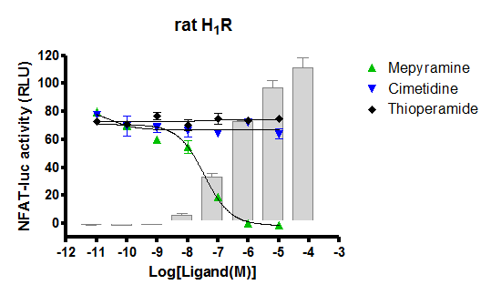 rat H1R functional